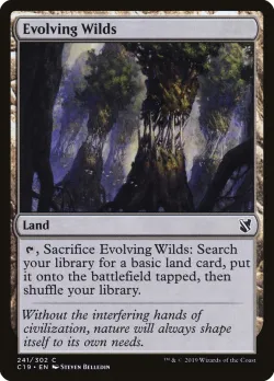 Evolving Wilds #241 · Magic: The Gathering