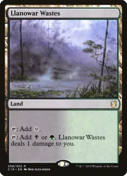 Llanowar Wastes 「C19/258」「EN」