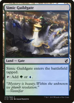 Simic Guildgate 「C19/275」「EN」