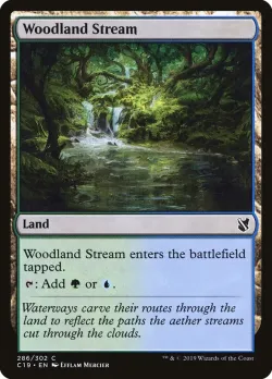 Woodland Stream 「C19/286」「EN」