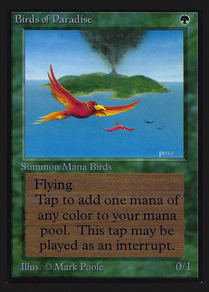 Birds of Paradise 「CED/187」「EN」