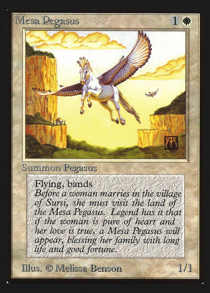 Mesa Pegasus 「CED/29」「EN」