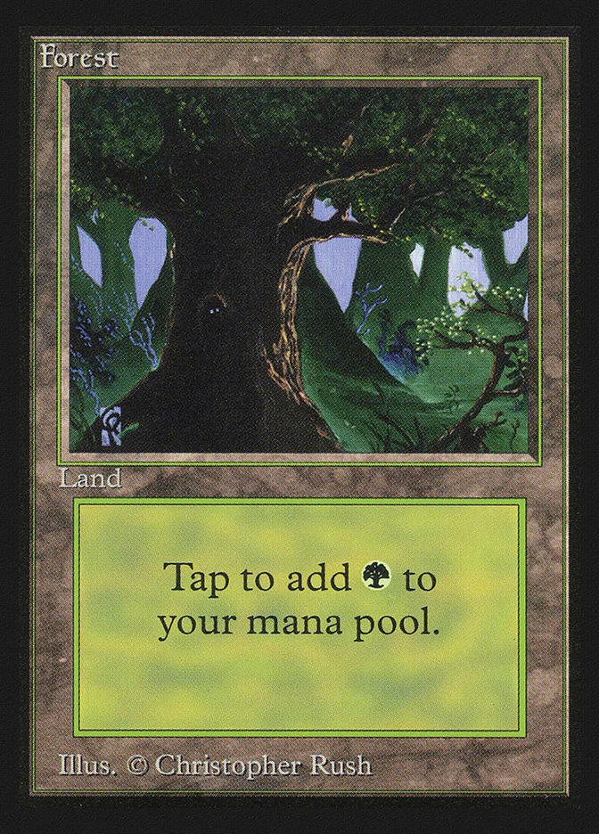 Forest 「CED/302」「EN」