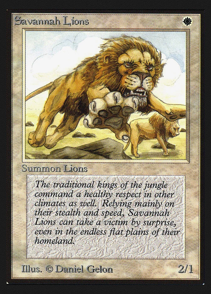Savannah Lions 「CED/39」「EN」