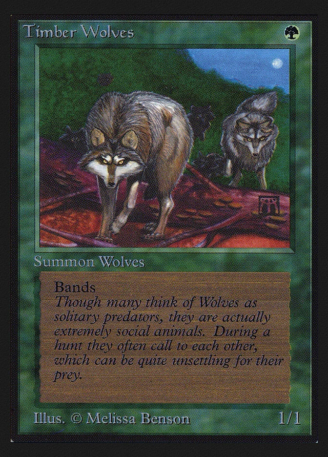 Timber Wolves 「CEI/220」「EN」