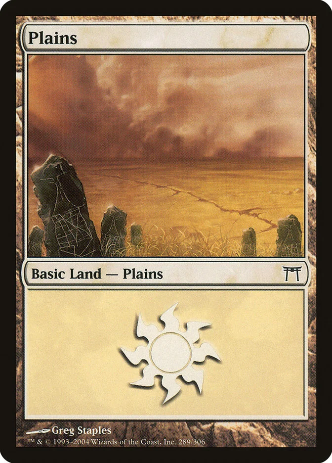 Plains 「CHK/289」「EN」