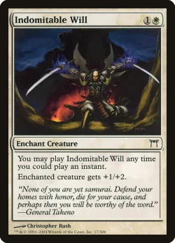 Indomitable Will #17 · Magic: The Gathering