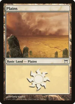 Plains 「CHK/289」「EN」