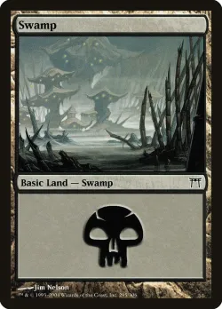 Swamp 「CHK/295」「EN」