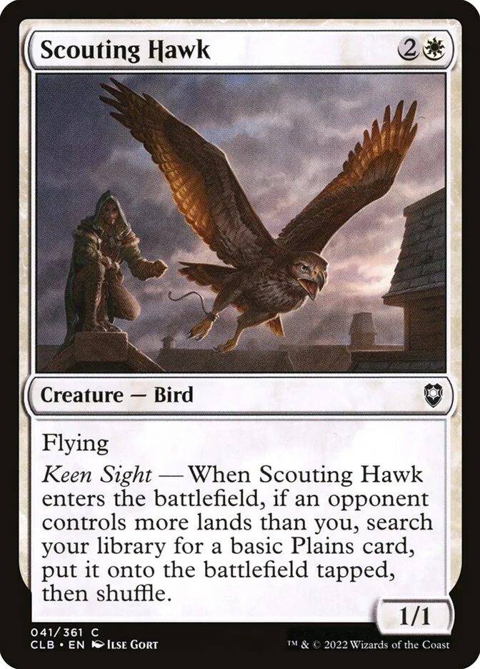 Scouting Hawk 「CLB/41」「EN」