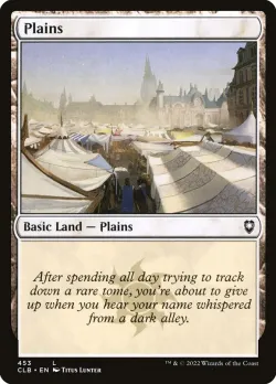 Plains #453 · Magic: The Gathering