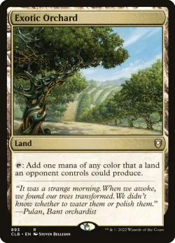 Exotic Orchard 「CLB/893」「EN」