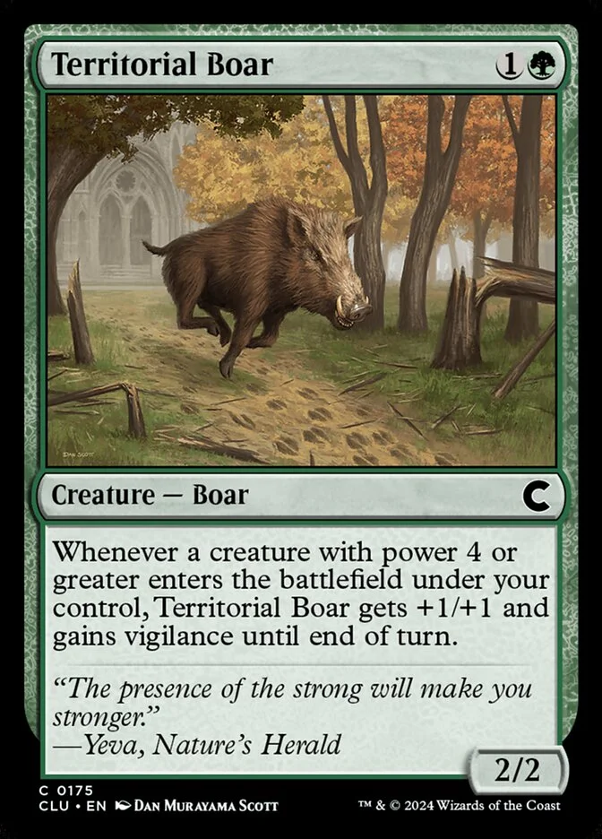 Territorial Boar 「CLU/175」「EN」