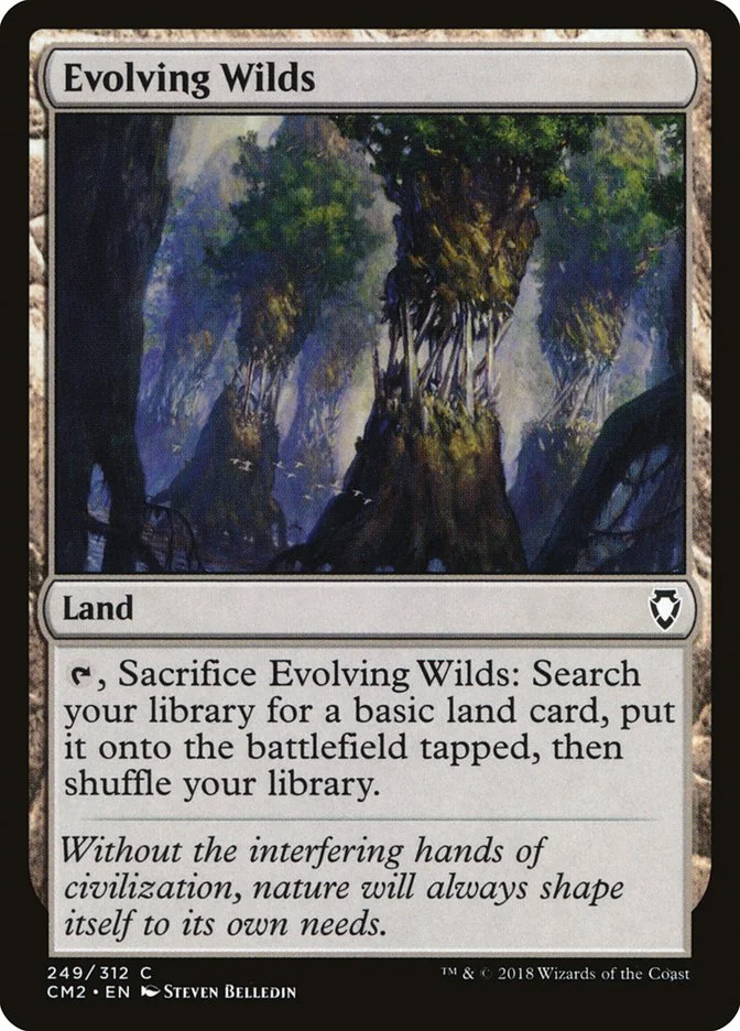 Evolving Wilds 「CM2/249」「EN」