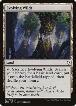 Evolving Wilds #249 · Magic: The Gathering