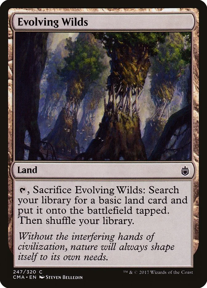 Evolving Wilds 「CMA/247」「EN」