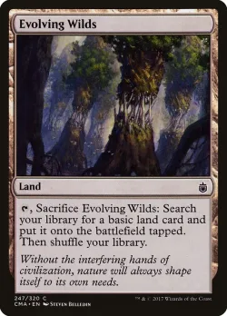 Evolving Wilds #247 · Magic: The Gathering