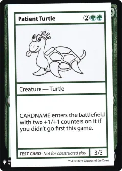 Patient Turtle 「CMB1/82」「EN」