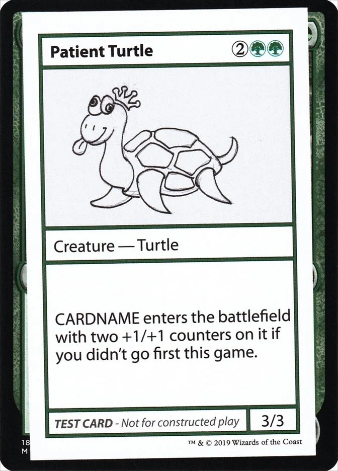 Patient Turtle 「CMB2/82」「EN」