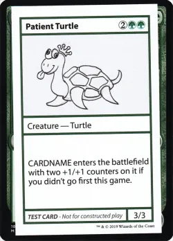 Patient Turtle 「CMB2/82」「EN」