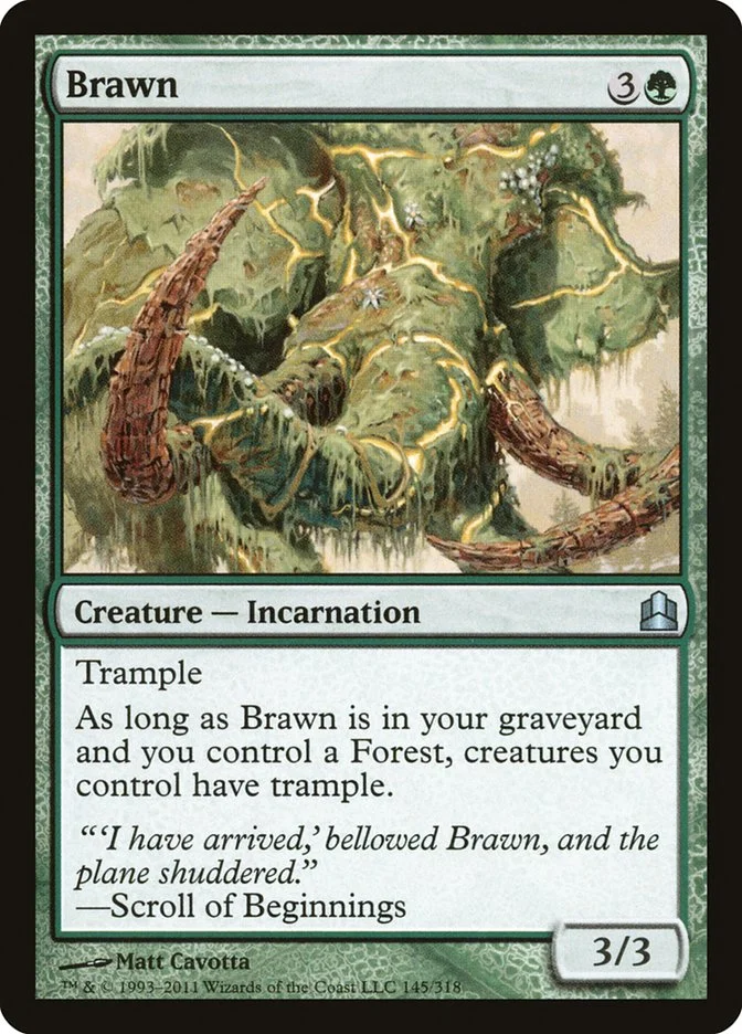 Brawn 「CMD/145」「EN」