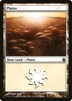 Plains 「CMD/299」「EN」