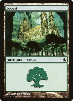 Forest 「CMD/318」「EN」