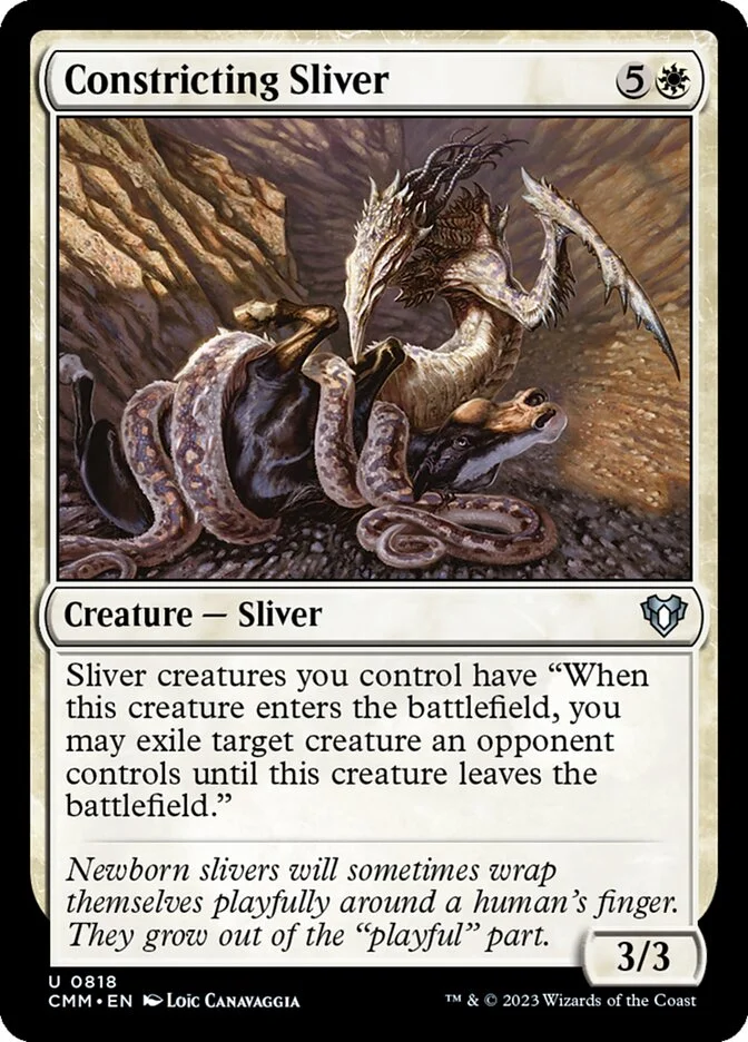 Constricting Sliver 「CMM/818」「EN」