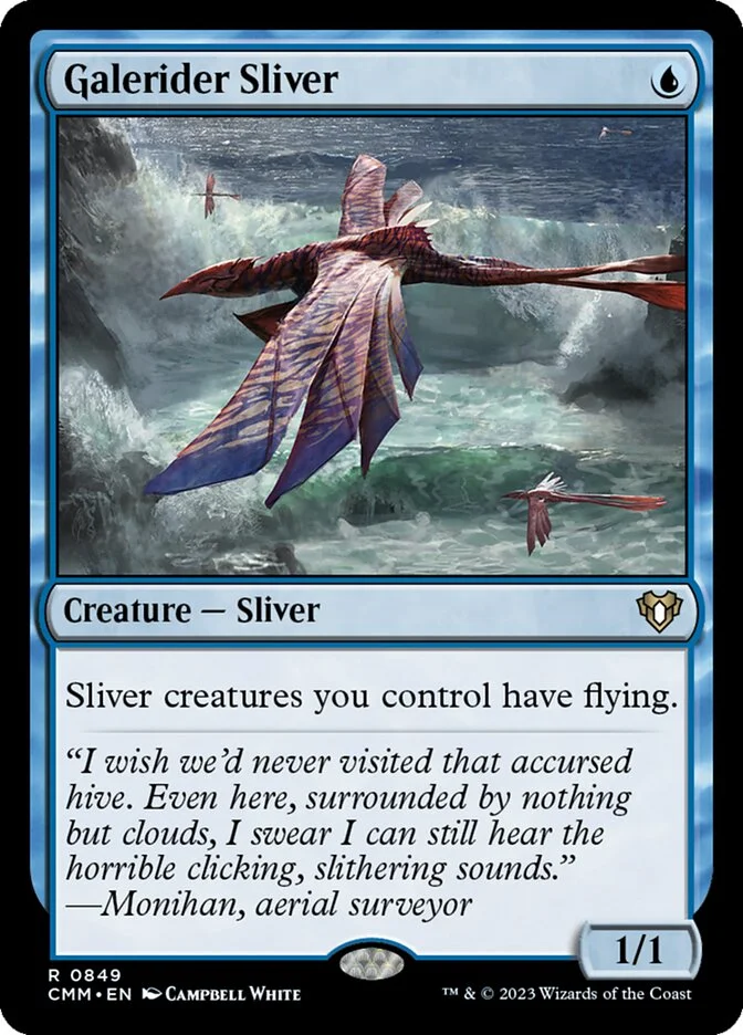 Galerider Sliver 「CMM/849」「EN」