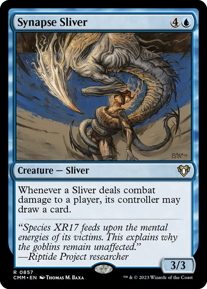 Synapse Sliver 「CMM/857」「EN」