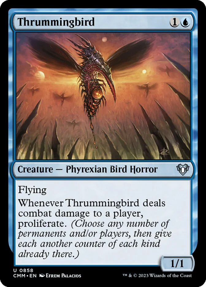 Thrummingbird 「CMM/858」「EN」