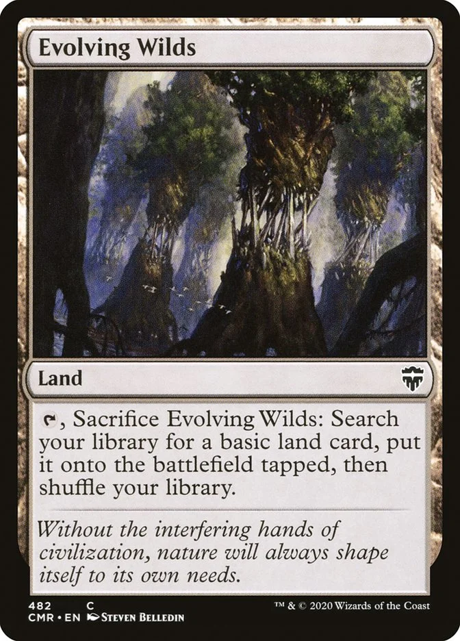 Evolving Wilds 「CMR/482」「EN」