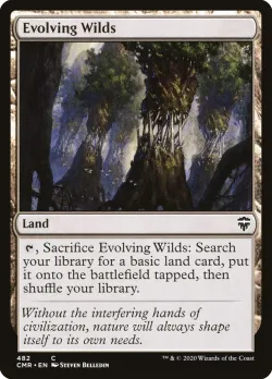 Evolving Wilds #482 · Magic: The Gathering