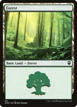 Forest #511 · Magic: The Gathering