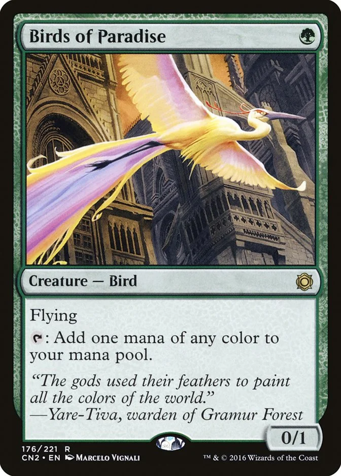 Birds of Paradise 「CN2/176」「EN」
