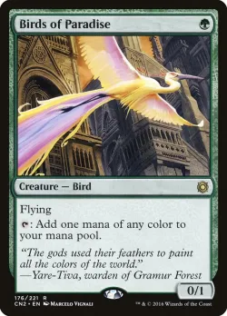 Birds of Paradise 「CN2/176」「EN」