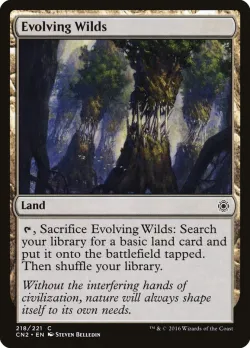 Evolving Wilds 「CN2/218」「EN」