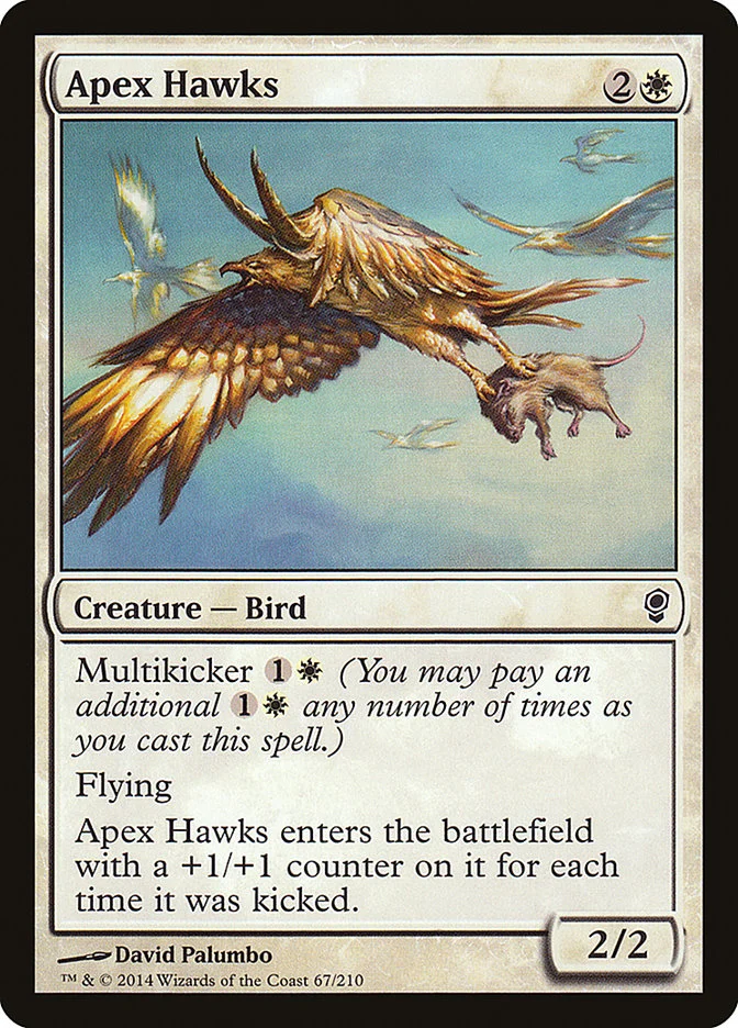 Apex Hawks 「CNS/67」「EN」
