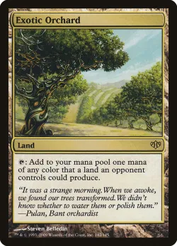 Exotic Orchard 「CON/142」「EN」