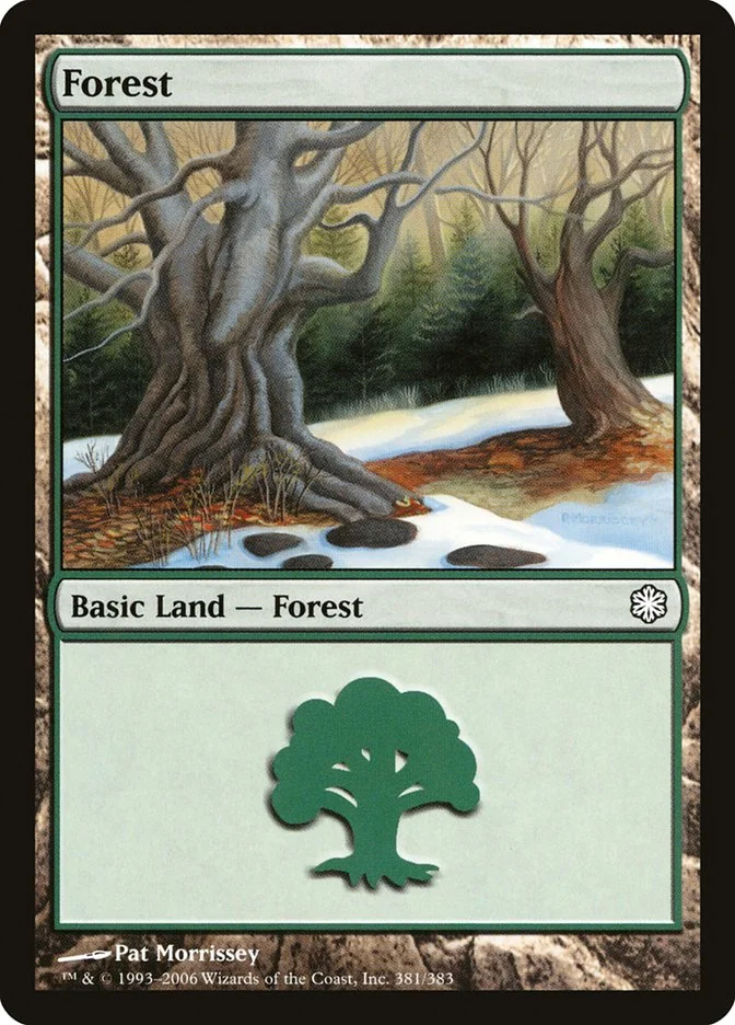 Forest 「CST/381」「EN」