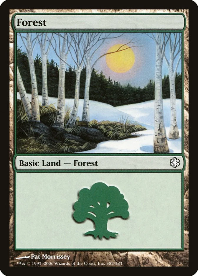 Forest 「CST/382」「EN」