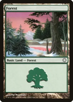 Forest 「CST/383」「EN」