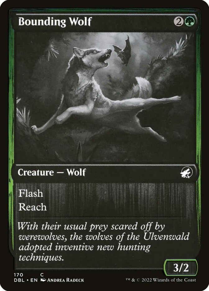 Bounding Wolf 「DBL/170」「EN」
