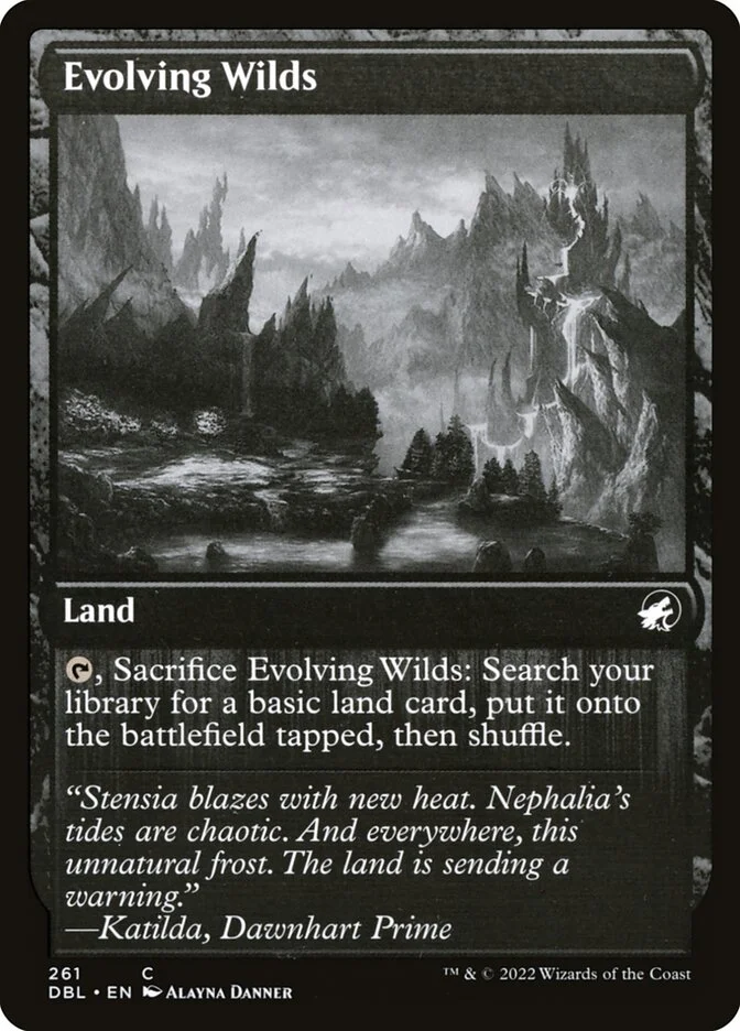 Evolving Wilds 「DBL/261」「EN」