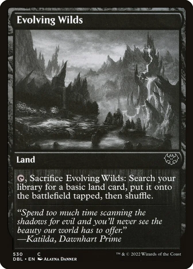 Evolving Wilds 「DBL/530」「EN」
