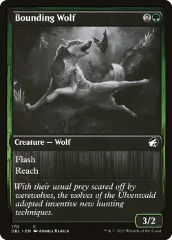 Bounding Wolf #170 · Magic: The Gathering