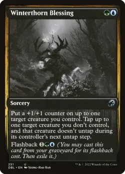 Winterthorn Blessing #251 · Magic: The Gathering