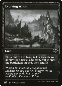 Evolving Wilds 「DBL/530」「EN」