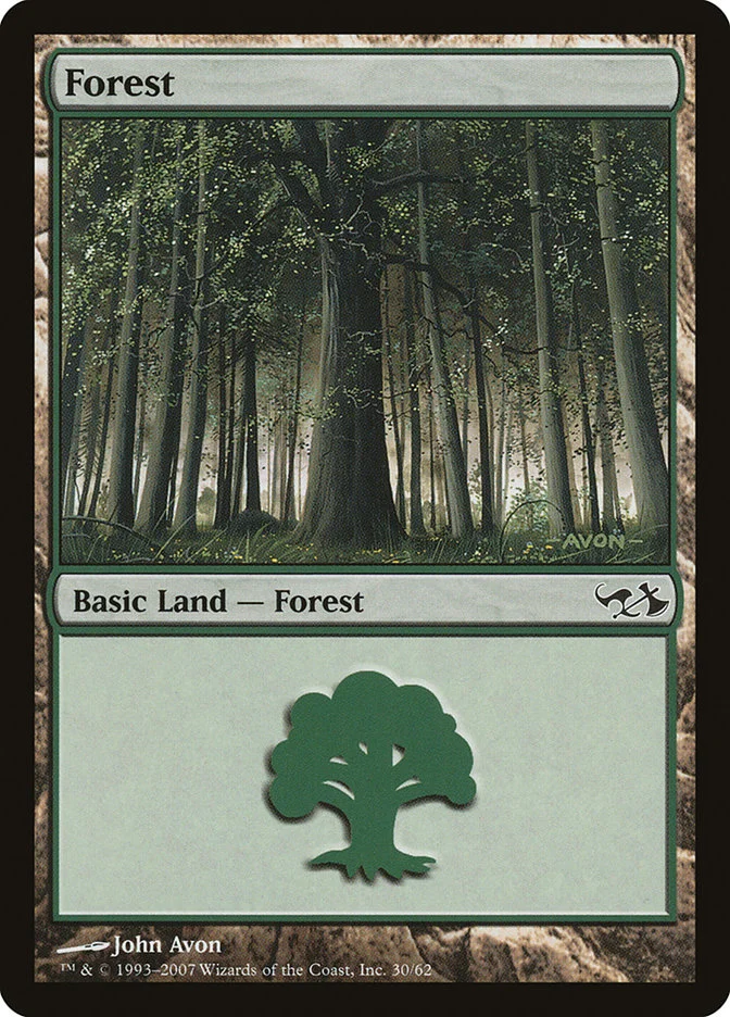 Forest 「DD1/30」「EN」