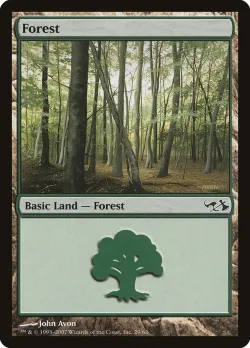 Forest 「DD1/29」「EN」